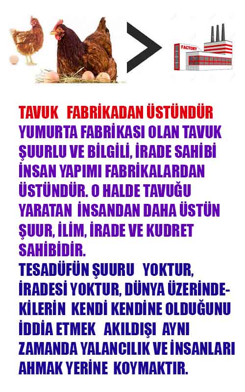ALLAH ın delilleri,ALLAH, #ALLAH, allah-delilleri, allahin-delilleri, allahin delilleri, allah in varlığının delilleri,