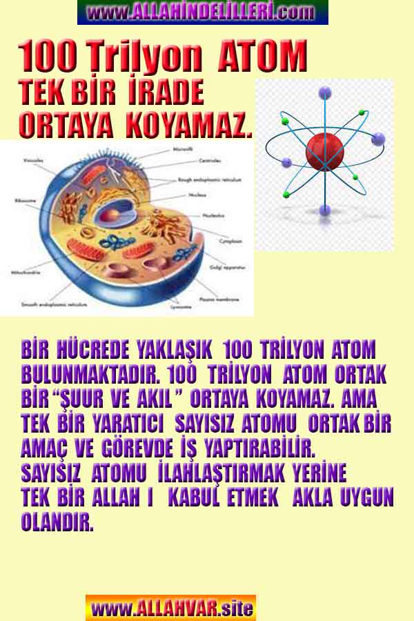 ALLAH, #ALLAH, allah-delilleri, allahin-delilleri, allahin delilleri, allah in varlığının delilleri,