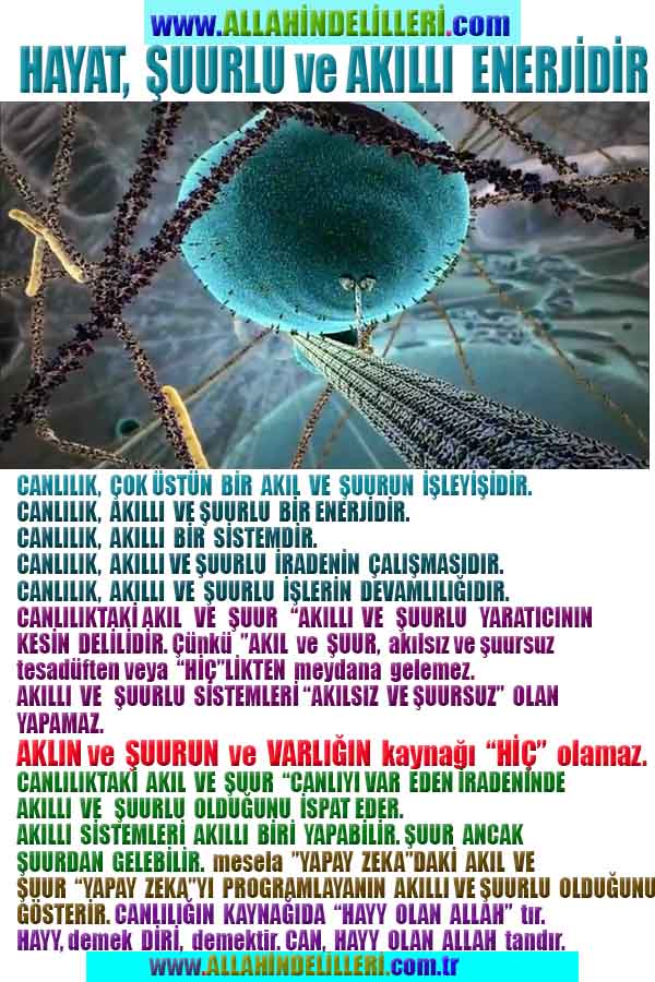 ALLAH ın delilleri,ALLAH, #ALLAH, allah-delilleri, allahin-delilleri, allahin delilleri, allah in varlığının delilleri,