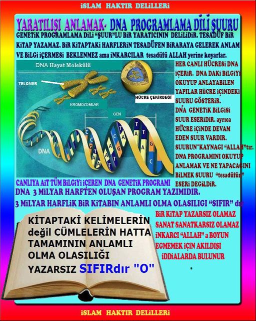 ALLAH ın delilleri,ALLAH, #ALLAH, allah-delilleri, allahin-delilleri, allahin delilleri, allah in varlığının delilleri,