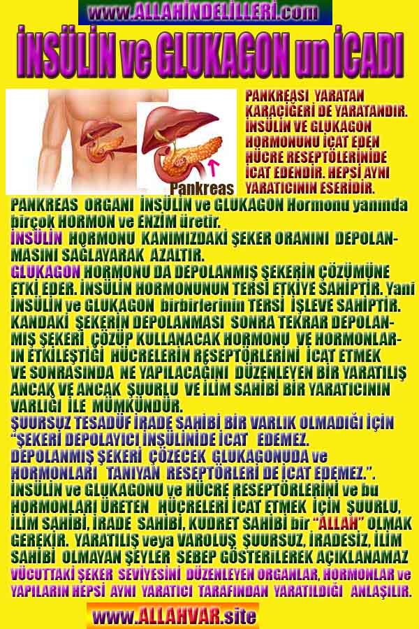ALLAH, #ALLAH, allah-delilleri, allahin-delilleri, allahin delilleri, allah in varlığının delilleri, allahin varlığınin delilleri, allah var, @allahvar, @allah-delilleri, #allah-delil, #allahin-delilleri, allahin varlığını nasıl anlayabilirim?