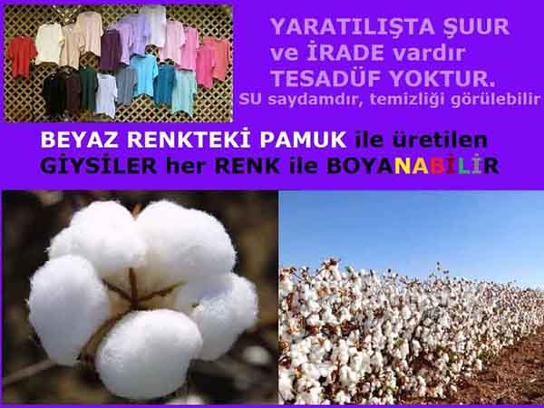 ALLAH ın delilleri,ALLAH, #ALLAH, allah-delilleri, allahin-delilleri, allahin delilleri, allah in varlığının delilleri,