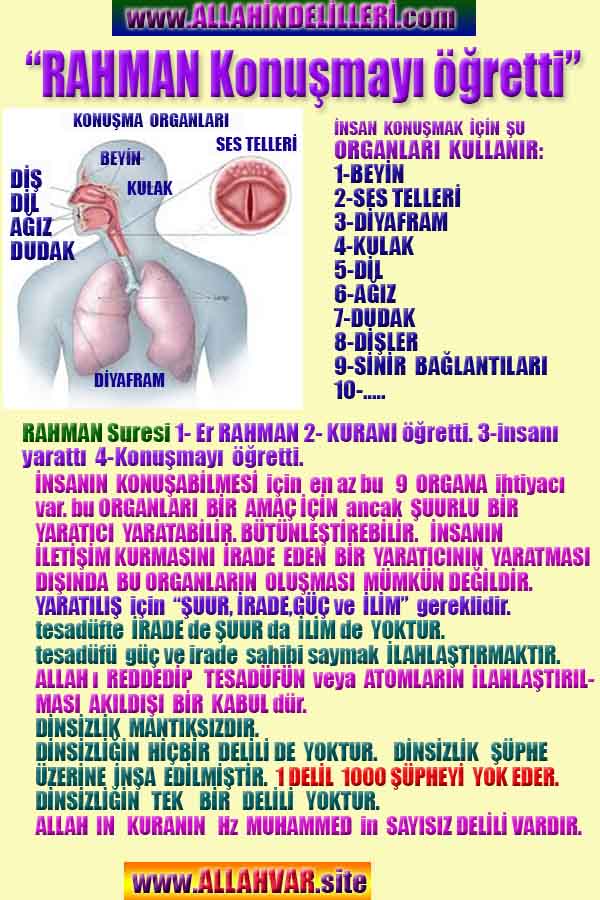 ALLAH, #ALLAH, allah-delilleri, allahin-delilleri, allahin delilleri, allah in varlığının delilleri, allahin varlığınin delilleri, allah var, @allahvar, @allah-delilleri, #allah-delil, #allahin-delilleri, allahin varlığını nasıl anlayabilirim?