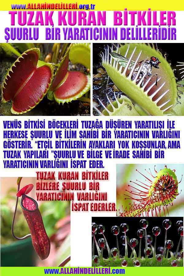 ALLAH, #ALLAH, allah-delilleri, allahin-delilleri, allahin delilleri, allah in varlığının delilleri,